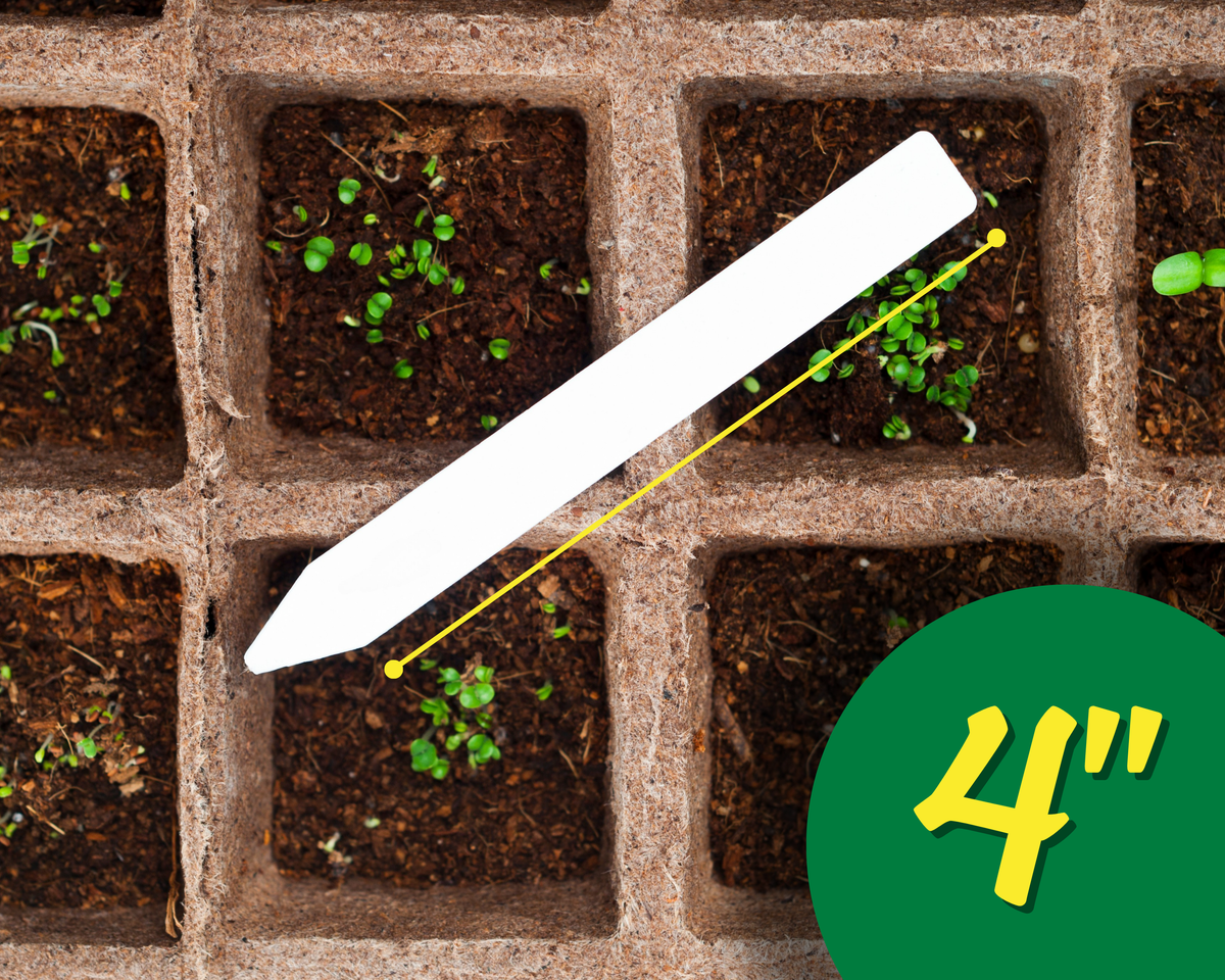 Plant Labels - 4"