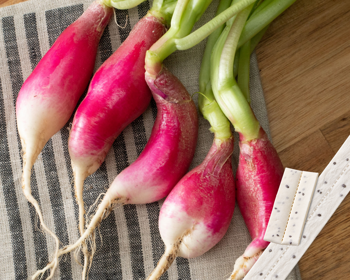 French Breakfast Radish Seed Tape
