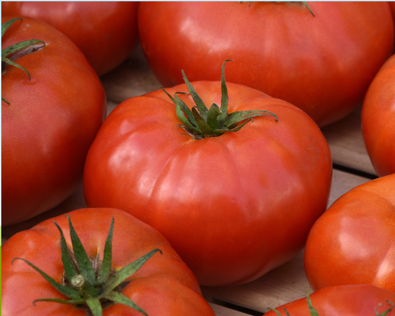 Bulk: Wonderstar Red Hybrid Tomato Seeds
