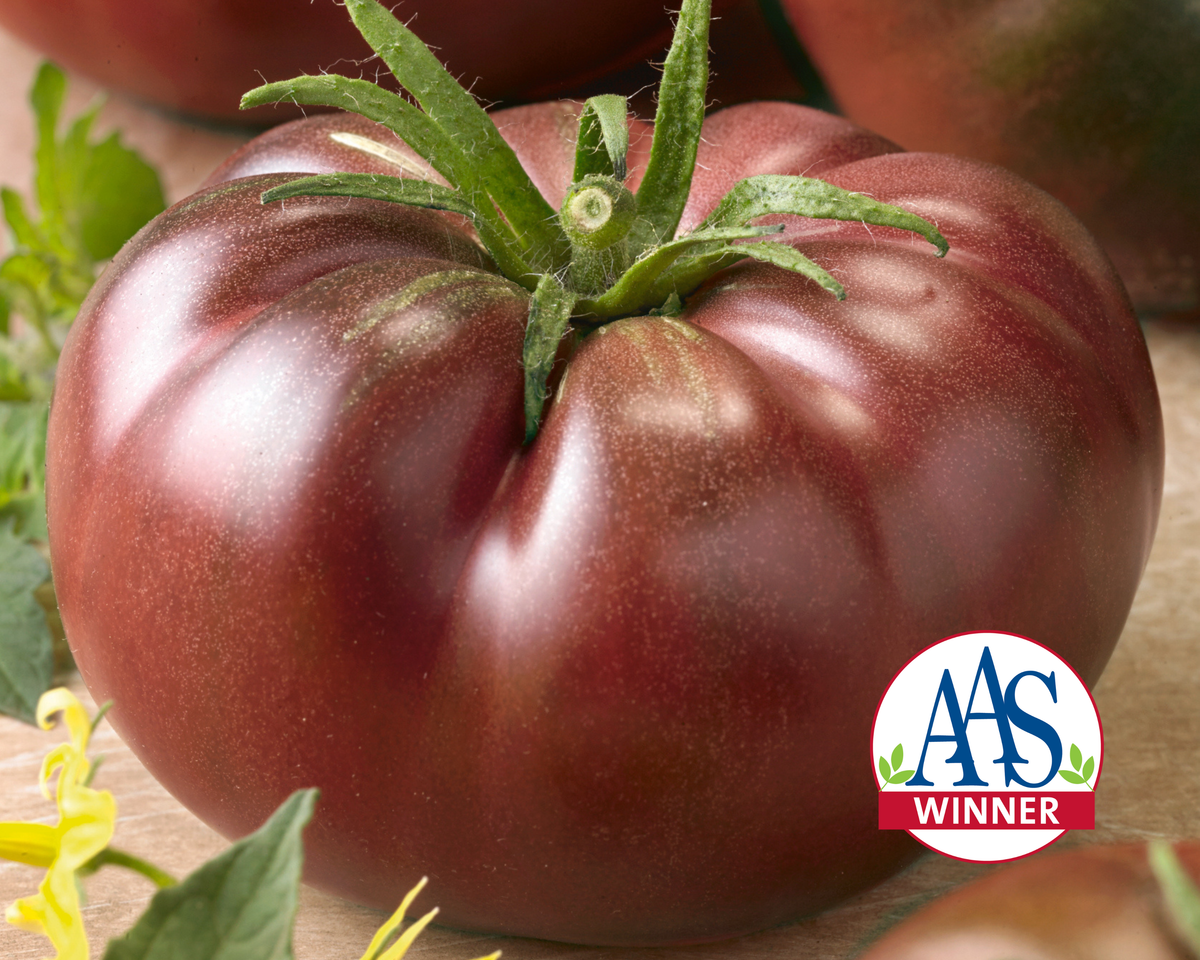 Chef's™ Choice Black Hybrid Slicing VFT Tomato Seeds
