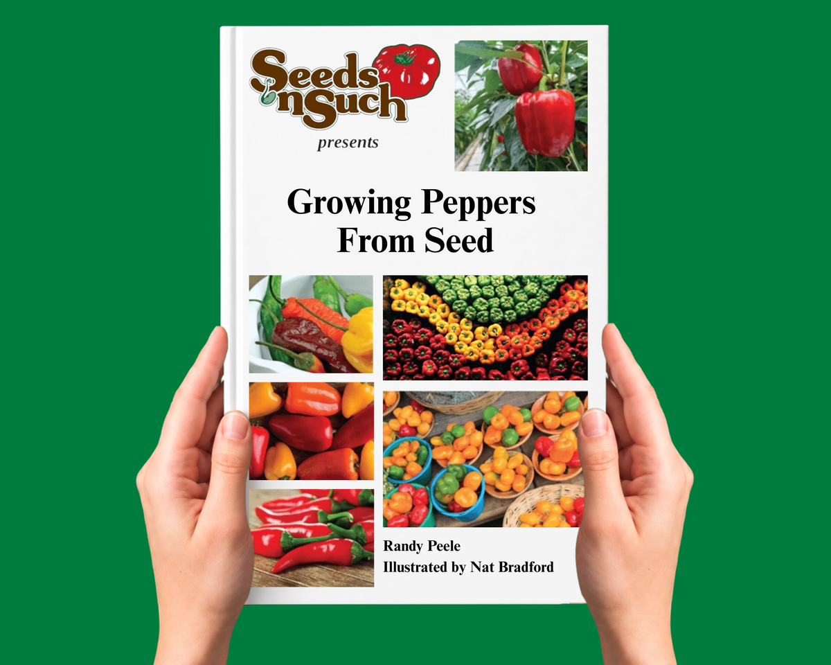Growing Peppers From Seed - Growing Guide