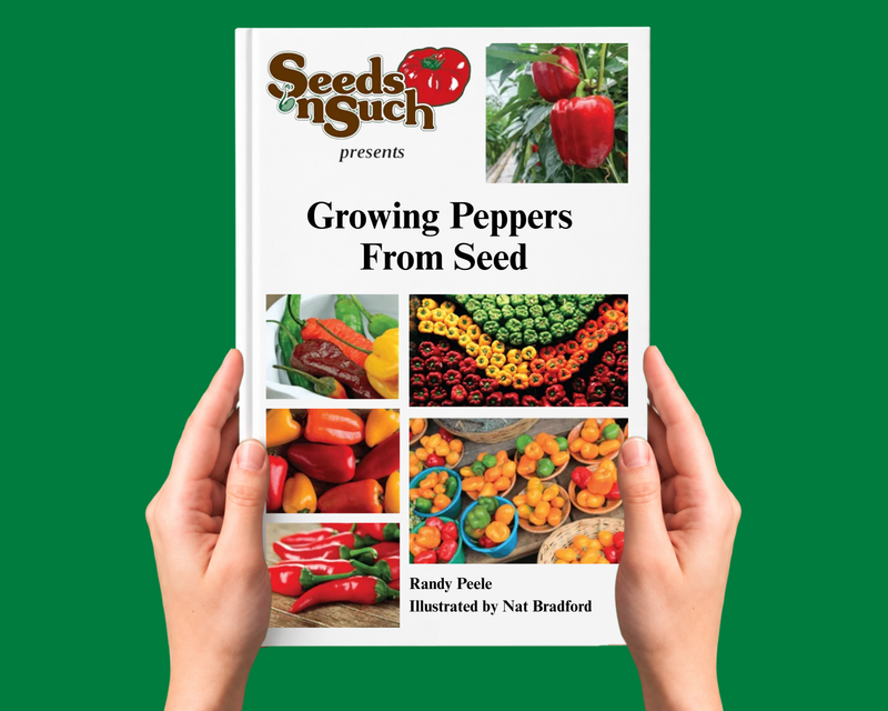 Growing Peppers From Seed - Growing Guide