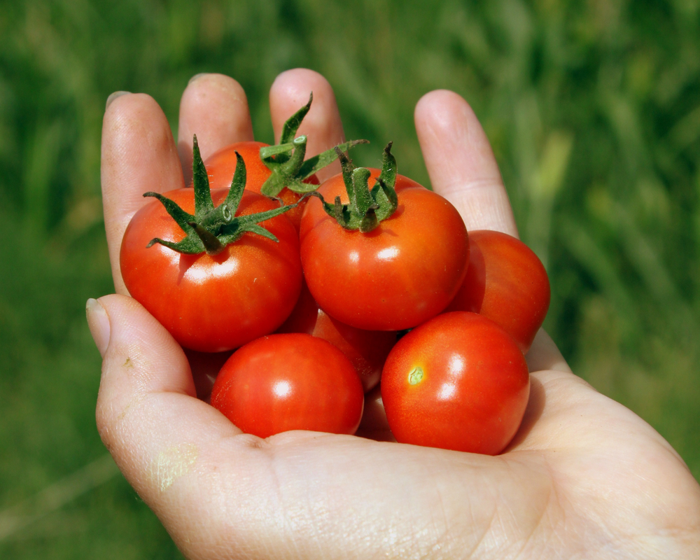 Fresh-Eating