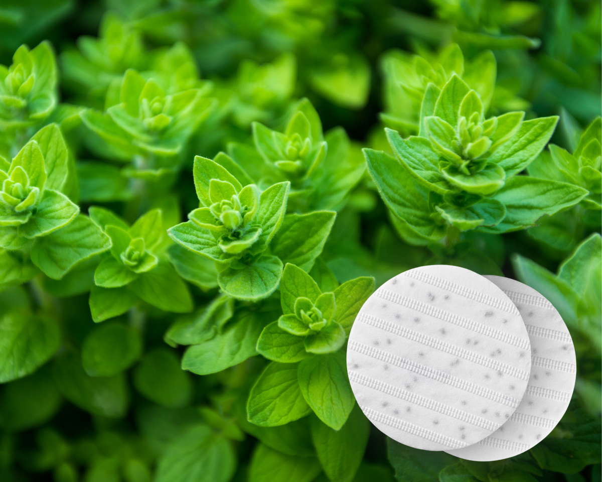 Oregano Seed Disc