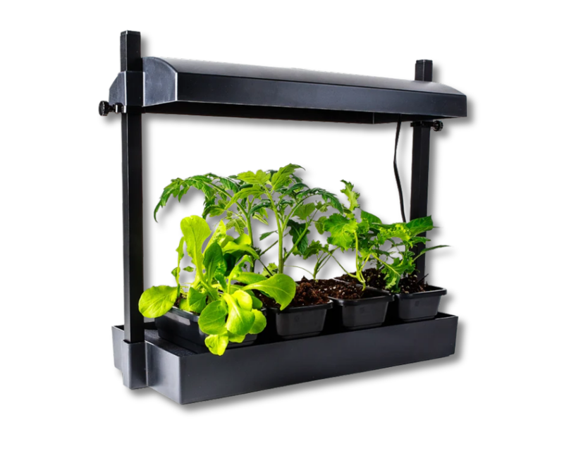 SunBlaster Micro LED Grow Light Garden