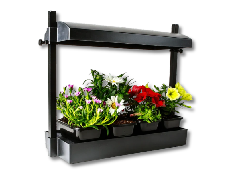 SunBlaster Micro LED Grow Light Garden