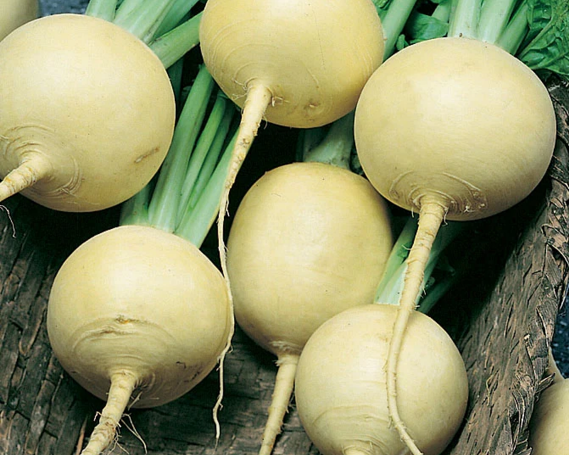 Golden Globe Turnip Seeds