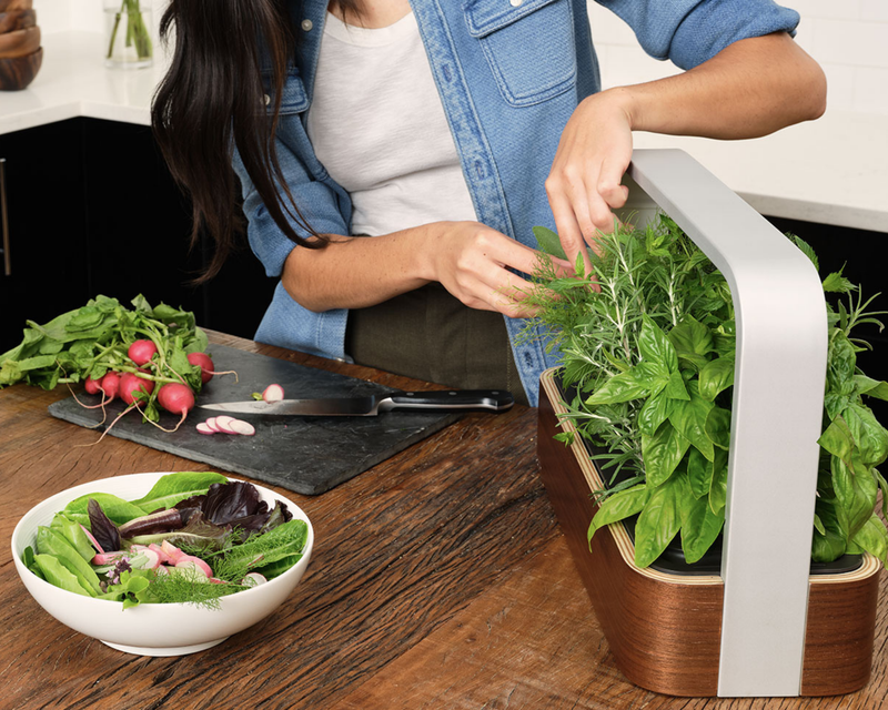 edn SmallGarden