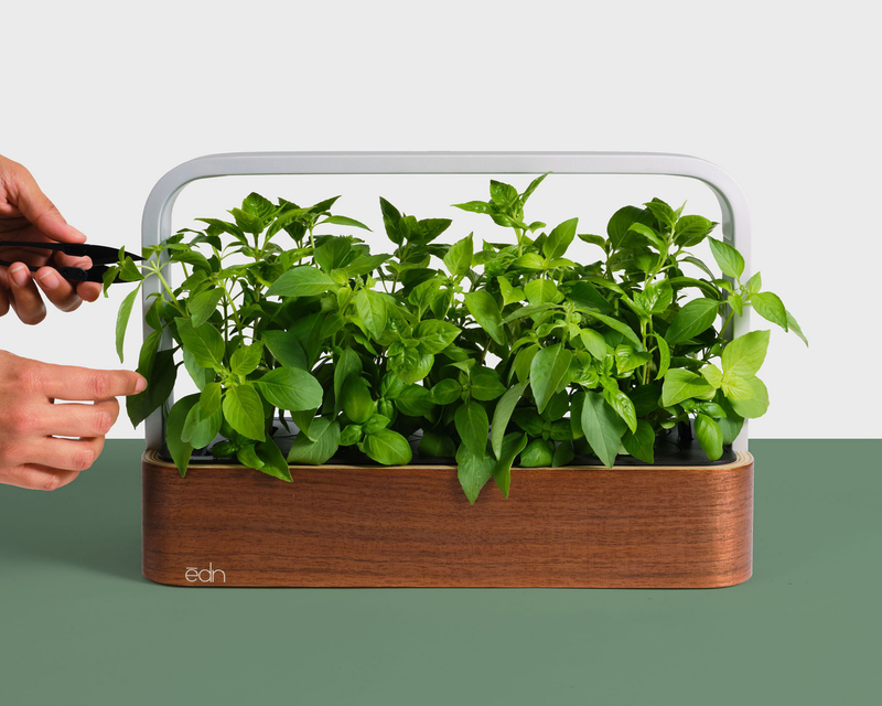 edn SmallGarden