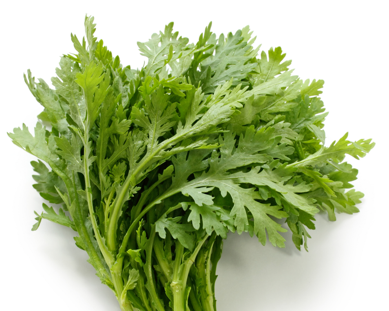 Shingiku (Garland Chrysanthemum) Seeds