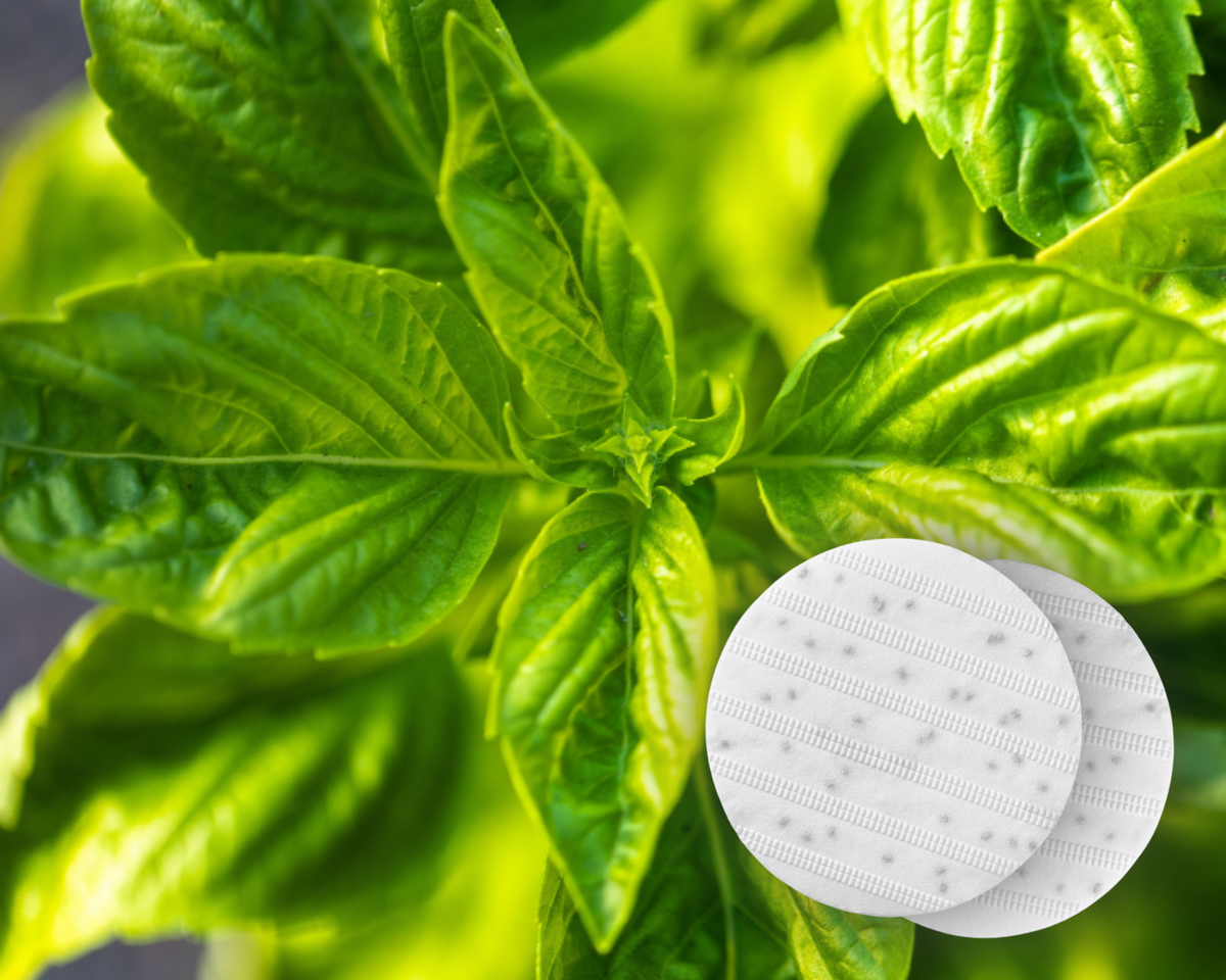 Basil Seed Disc
