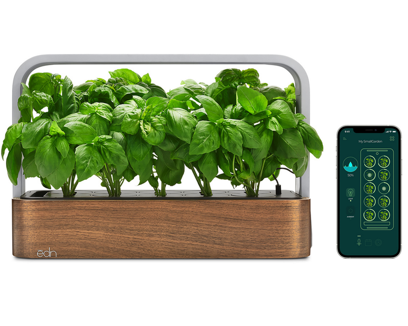 edn SmallGarden