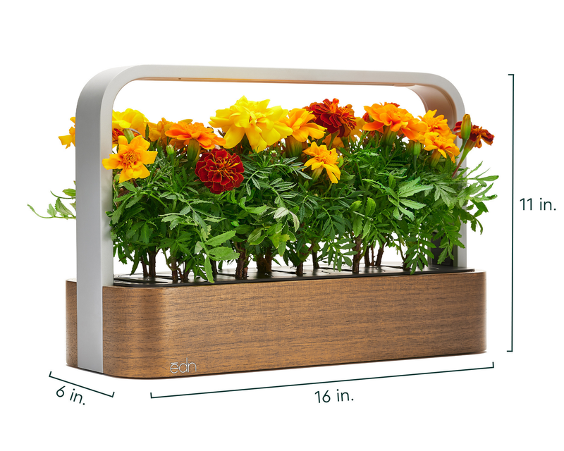 edn SmallGarden