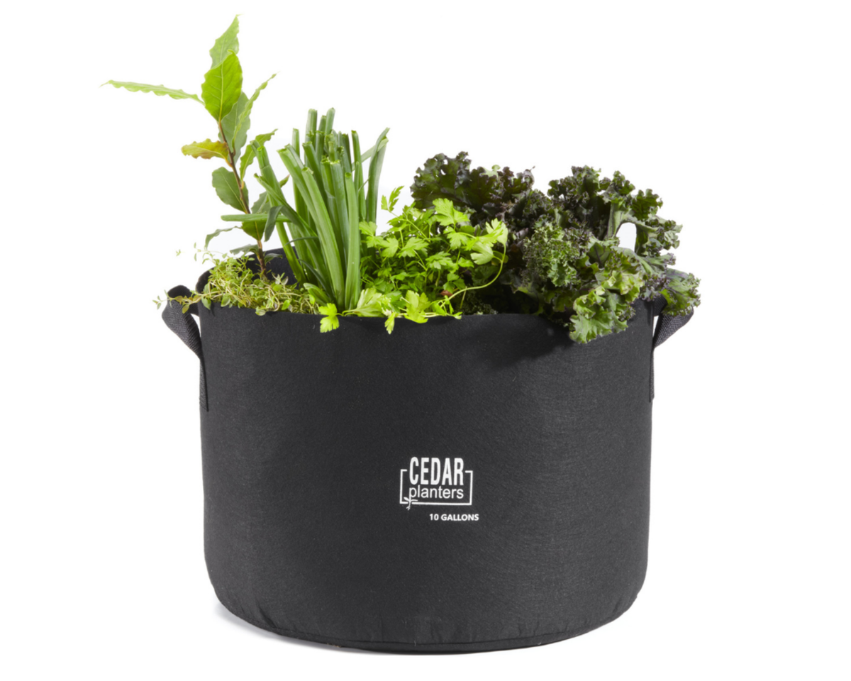 10-Gallon Fabric Grow Bag