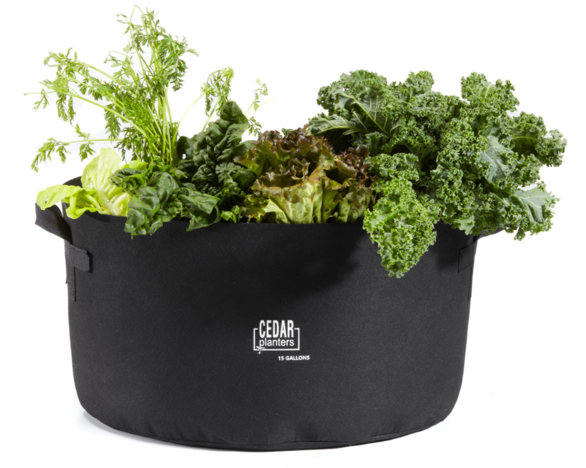 15-Gallon Fabric Grow Bag