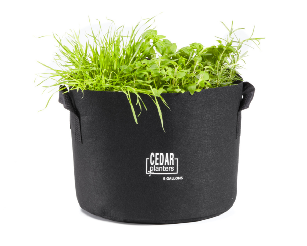 5-Gallon Fabric Grow Bag