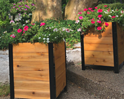 18″ x 18″ Cedar Planter Box – 24" Tall