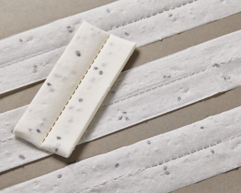 French Breakfast Radish Seed Tape