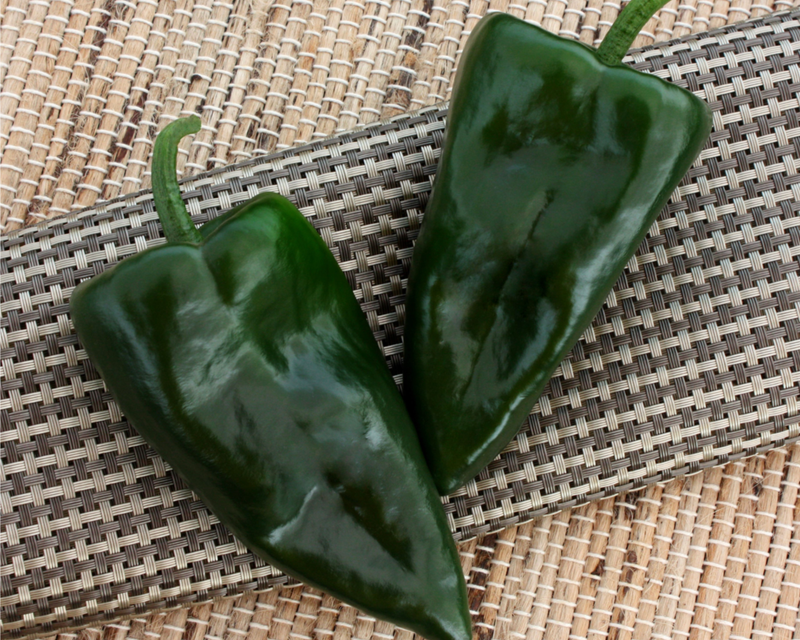 Bulk: Trident Hybrid Pepper Seeds