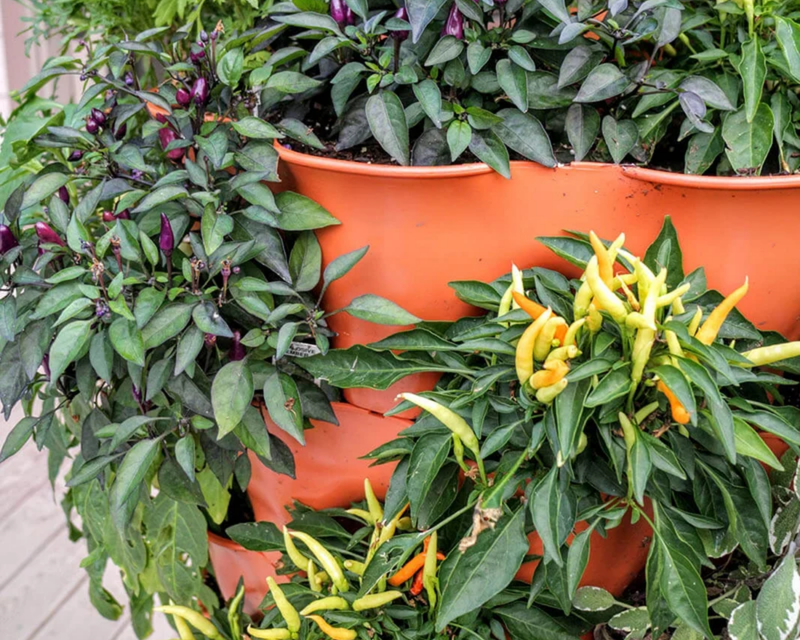 Garden Tower 2™, 50-Plant Composting Vertical Garden Planter