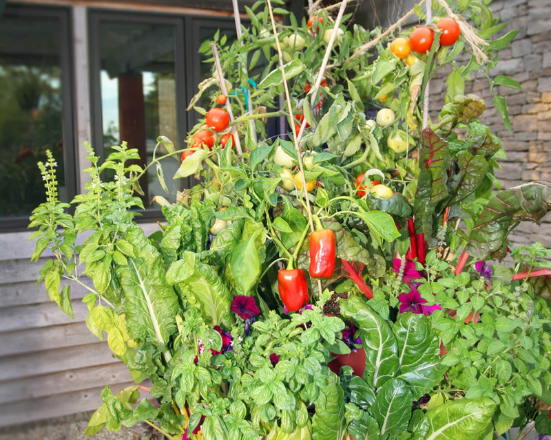 Garden Tower 2™, 50-Plant Composting Vertical Garden Planter