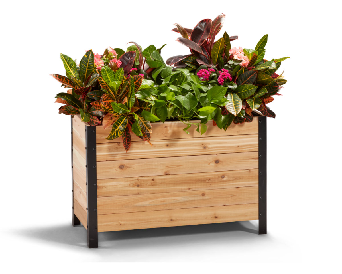 18" x 36" Cedar Planter Box – 24" Tall