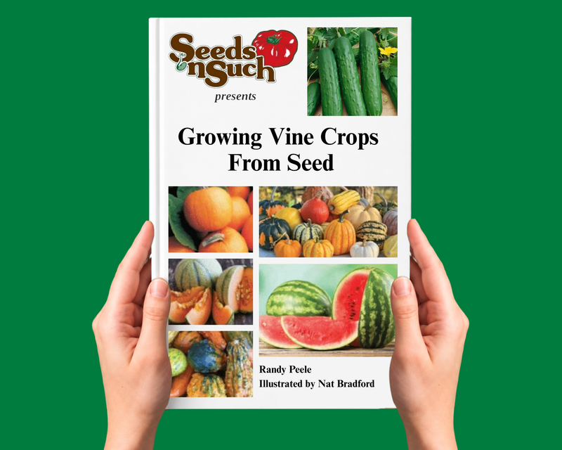 Growing Vine Crops from Seed - Growing Guide