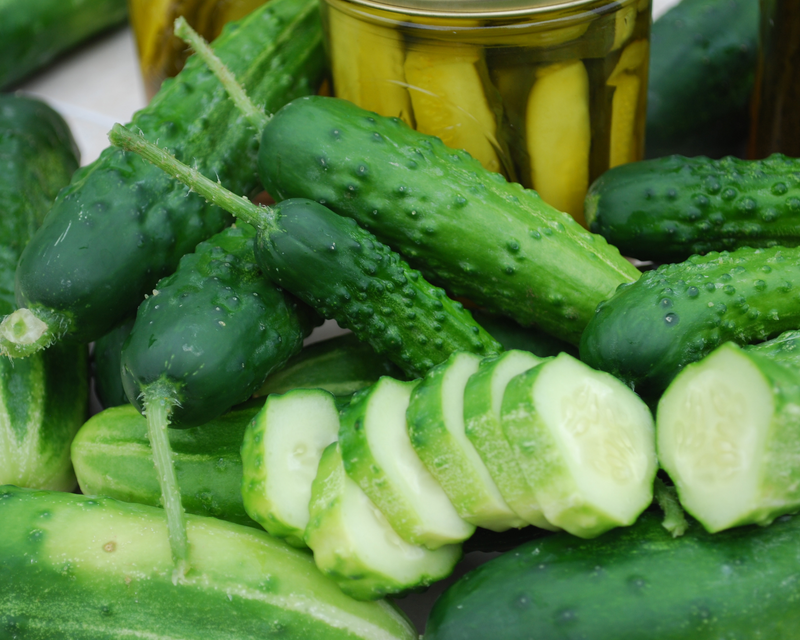 Bulk: Early Fortune Cucumber Seeds