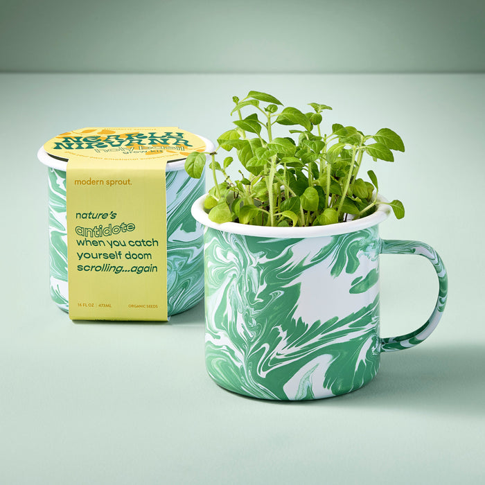 Altered Herb Mug Grow Kits