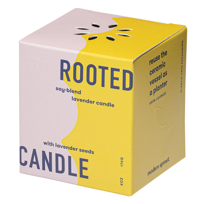 Modern Sprout Rooted Candle