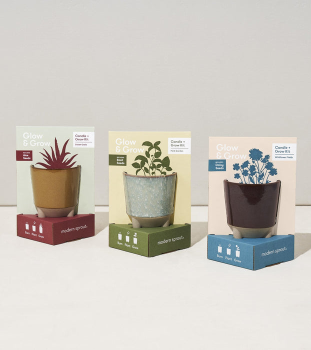 Glow & Grow Kits