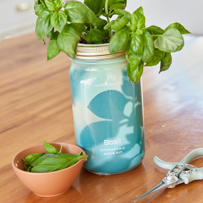 Garden Jars - Organic Herbs