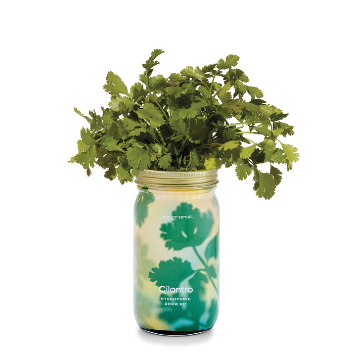 Garden Jars - Organic Herbs