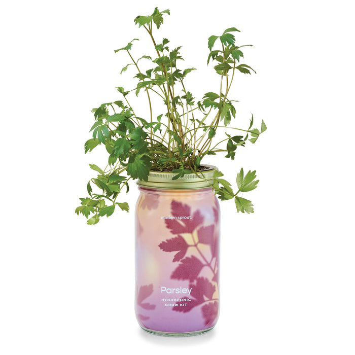 Garden Jars - Organic Herbs