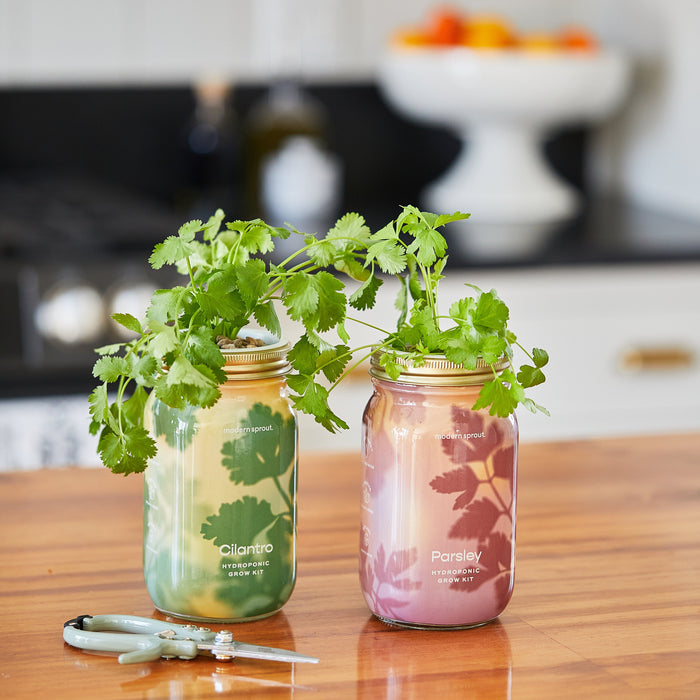 Garden Jars - Organic Herbs