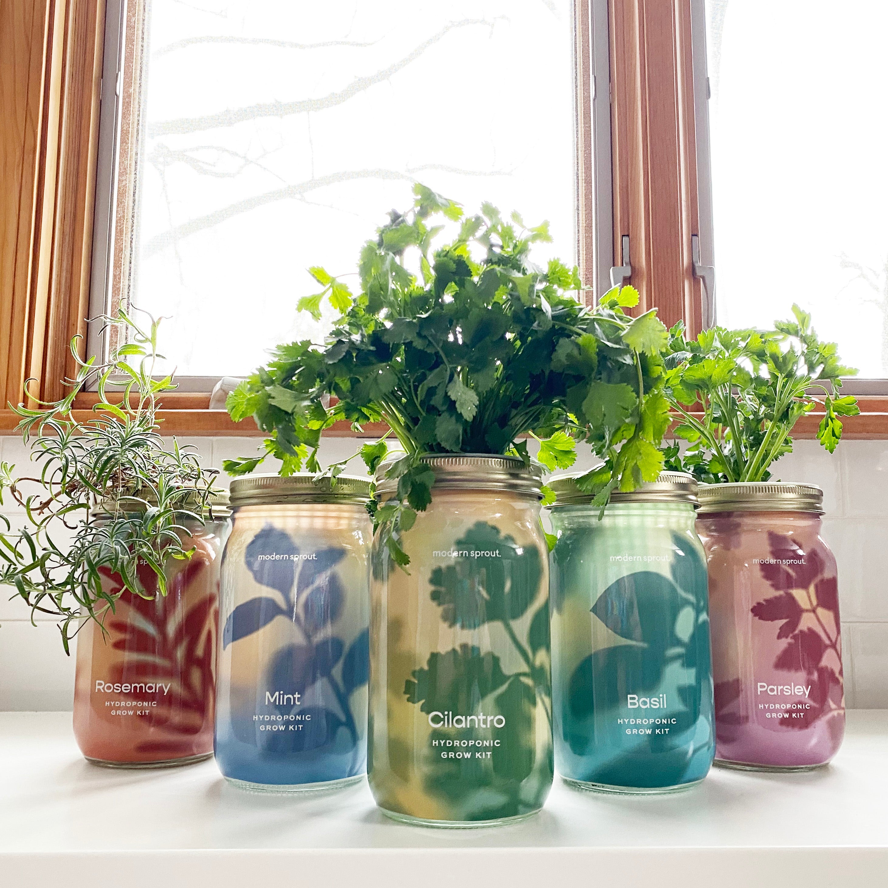 Garden Jars - Organic Herbs — Seeds 'n Such