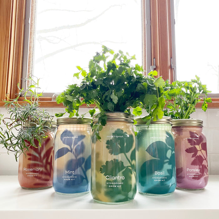 Garden Jars - Organic Herbs