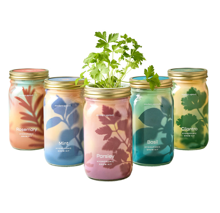 Garden Jars - Organic Herbs