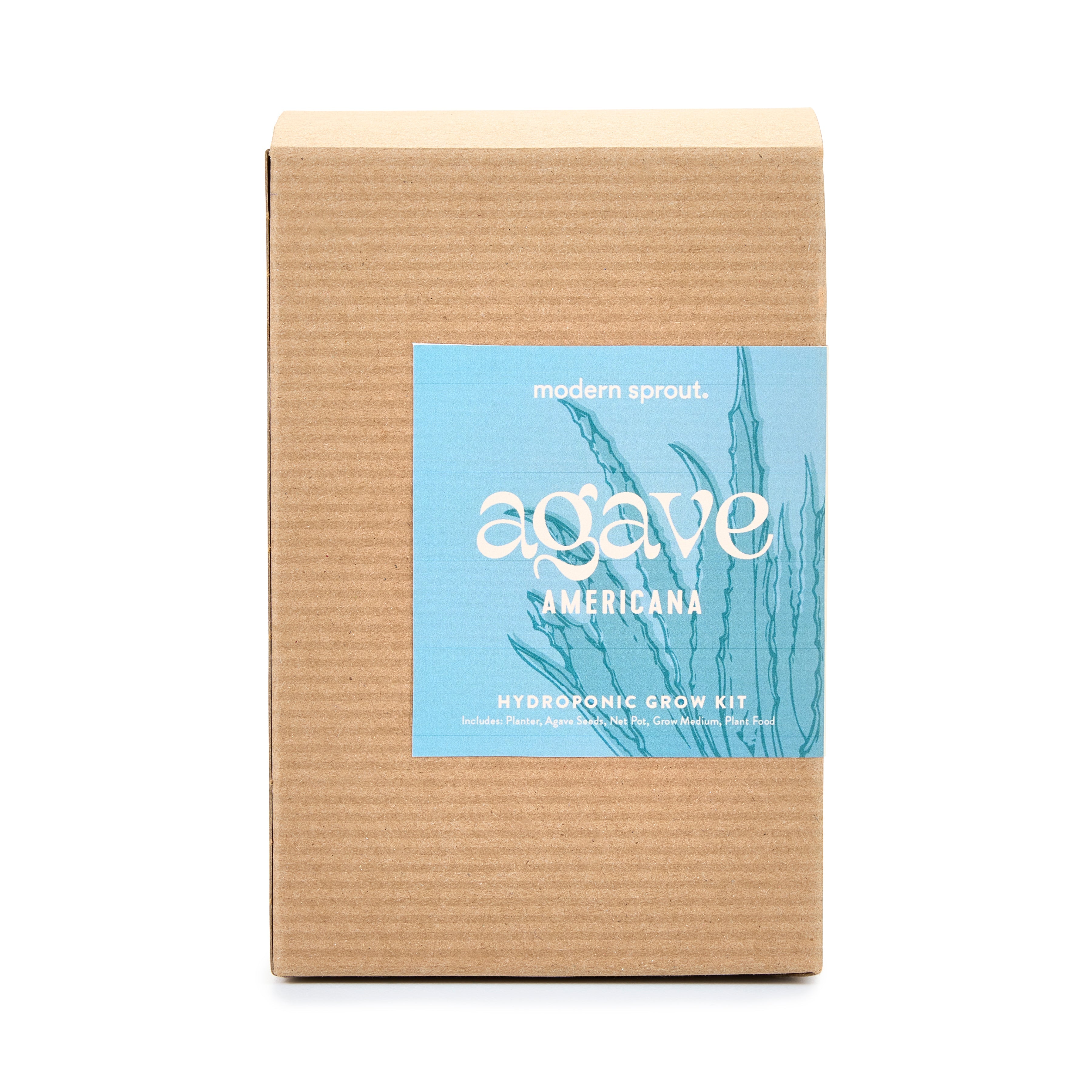 Modern Sprout Agave Grow Kit - Thumbnail 4