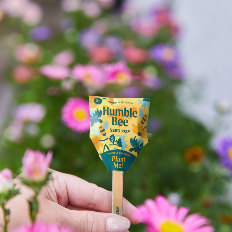 plant that pops seeds Seed Pops