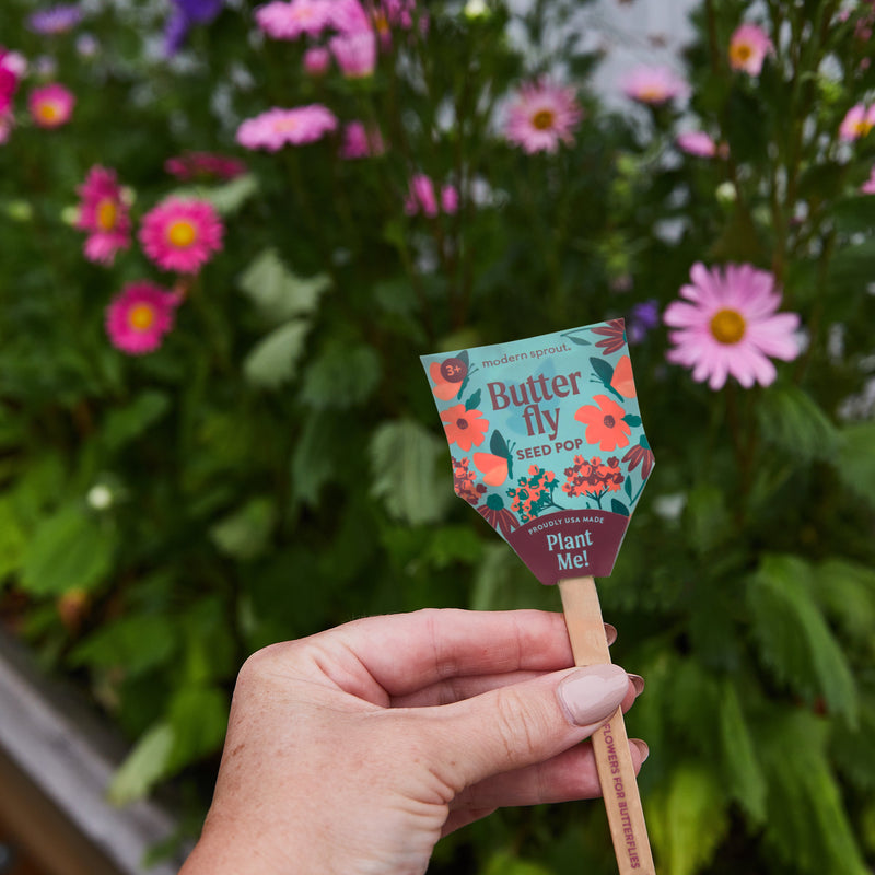 plant that pops seeds Seed Pops
