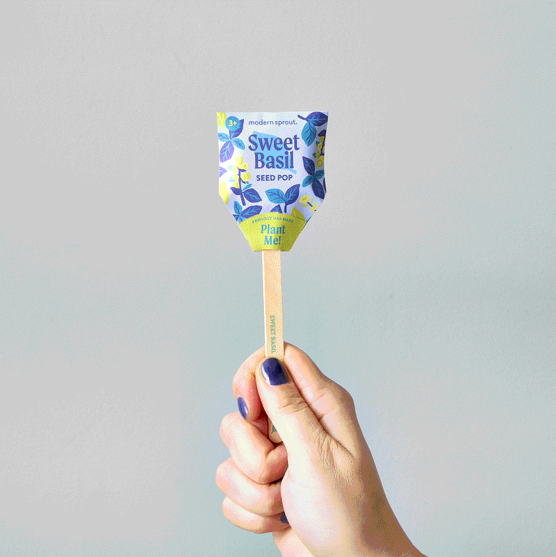 plant that pops seeds Seed Pops