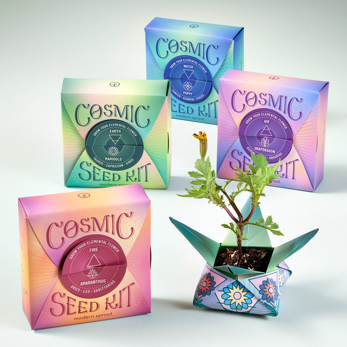 Cosmic Seed Kits — Seeds 'n Such