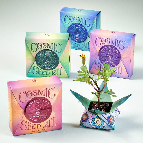 【新品・未開封】L BUILD SEED系4体セット Cosmic Seed Kits — Seeds 'n Such