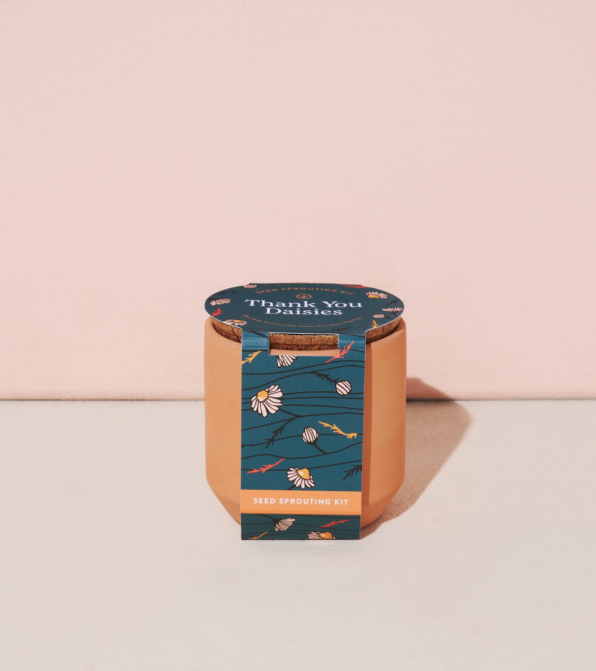 Tiny Terracotta Kits