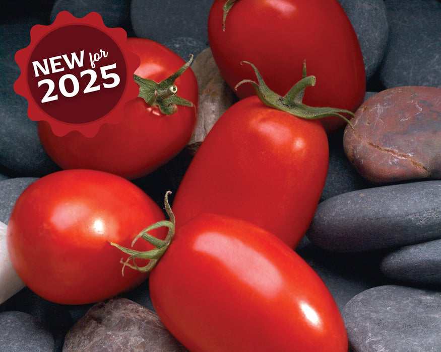 Mariana Hybrid Tomato Seeds