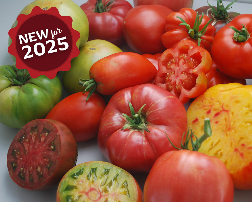 Gourmet Slicing Mix Tomato Seeds