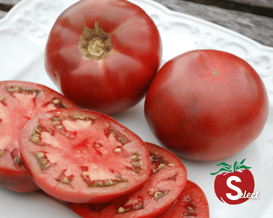 Bulk: Cherokee Purple Tomato Seeds