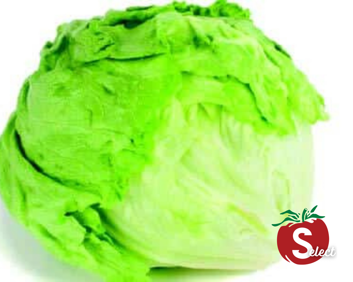 Iceberg Lettuce Seeds — Seeds 'n Such