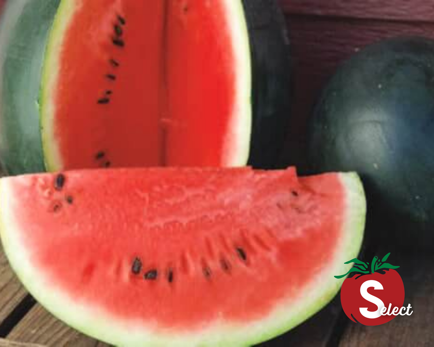 Sugar Baby Watermelon Seeds